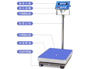 煙臺防爆電子秤